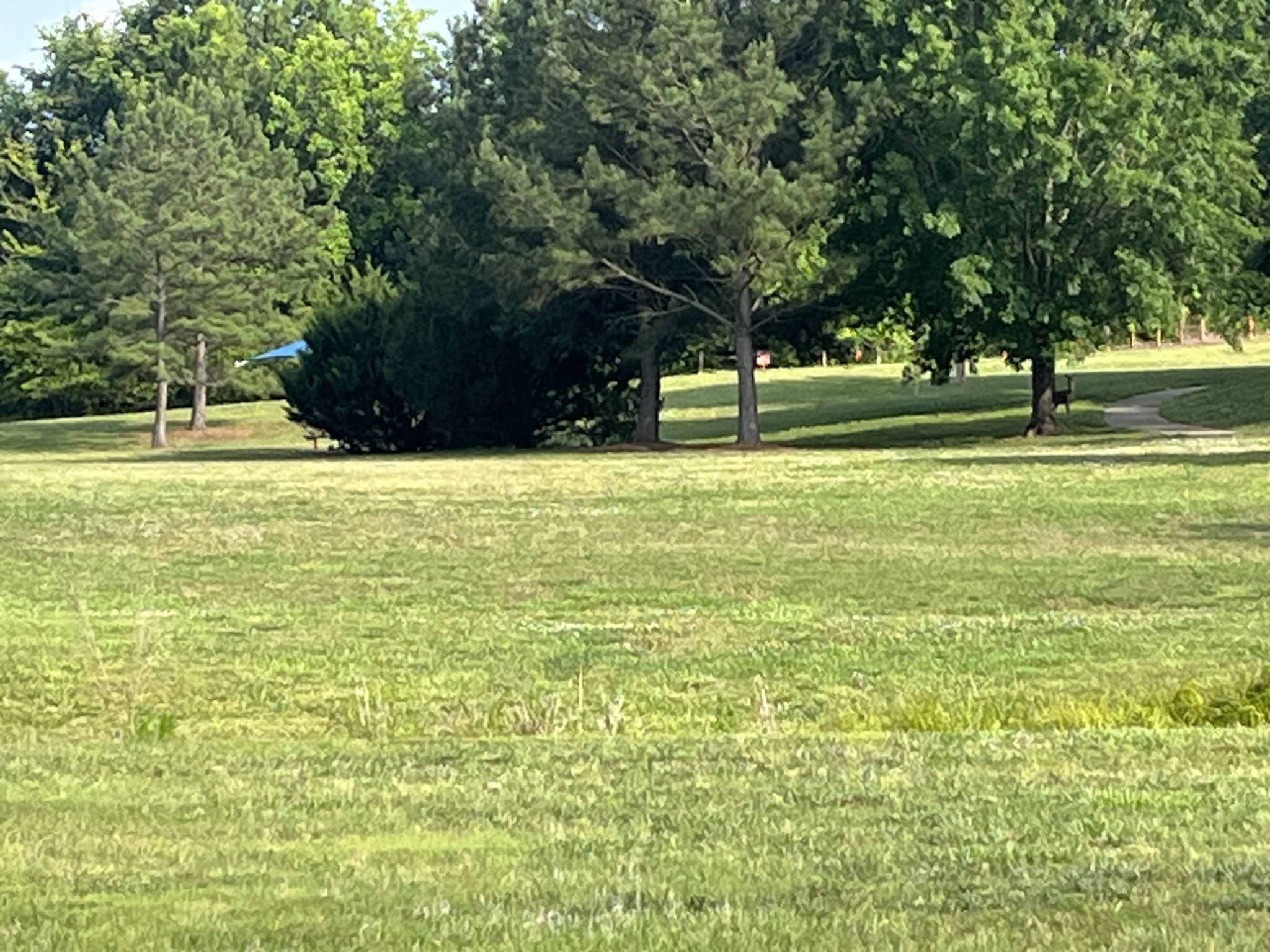 Michael learning to ride CRF80F
