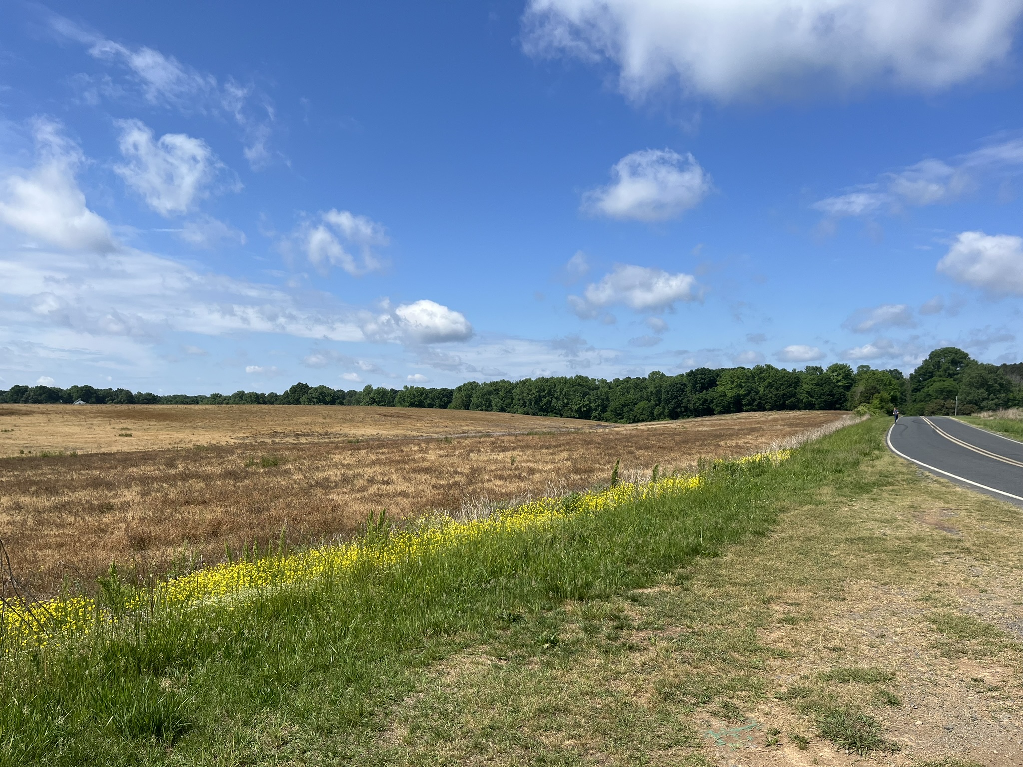 Rural fields and blue sky