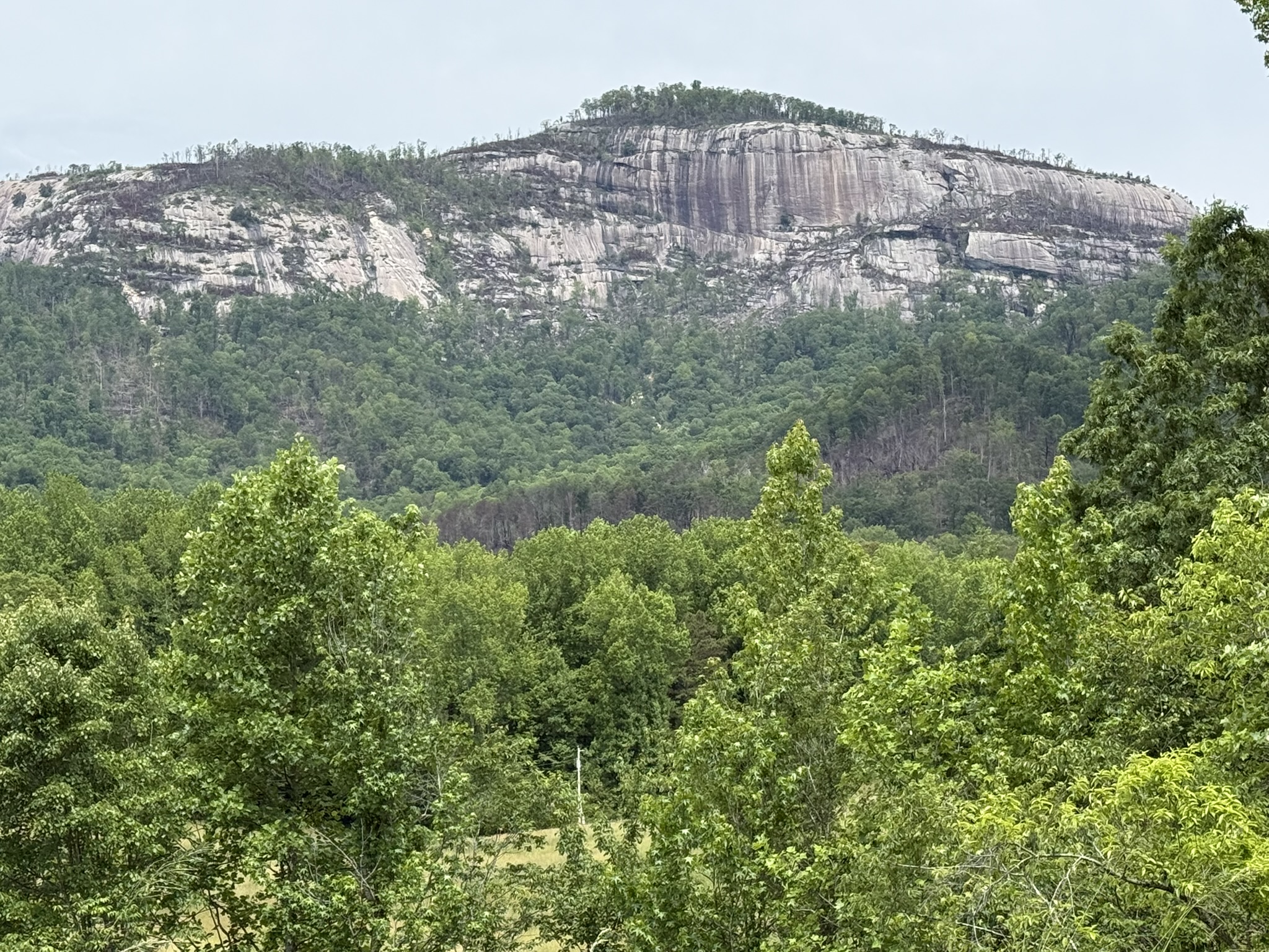 Table Rock landscape
