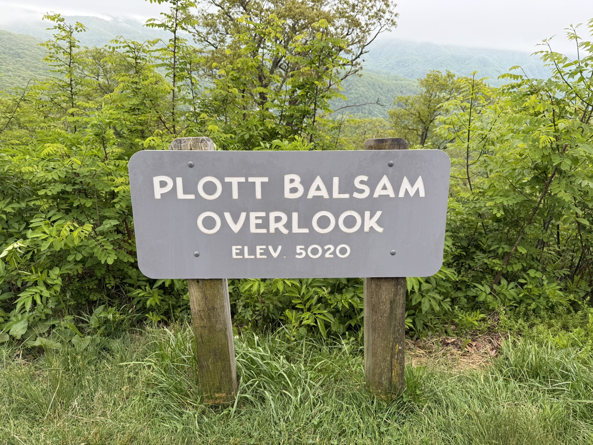 Plott Balsam Overlook sign