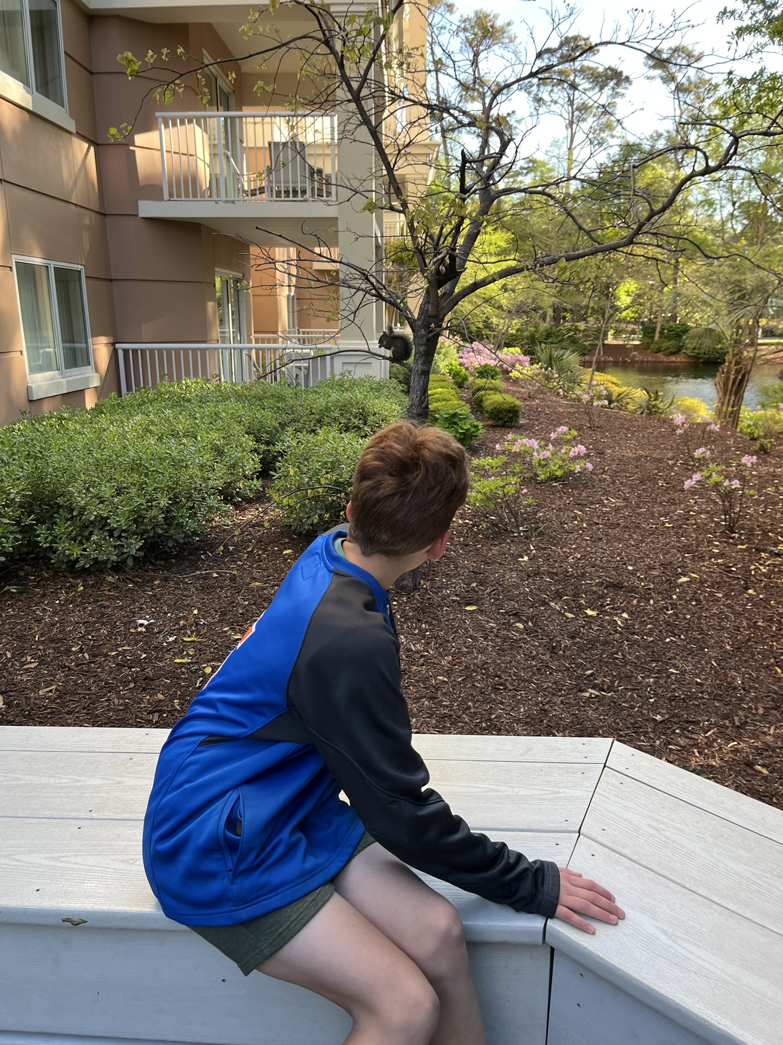 Hotel garden with spring azaleas